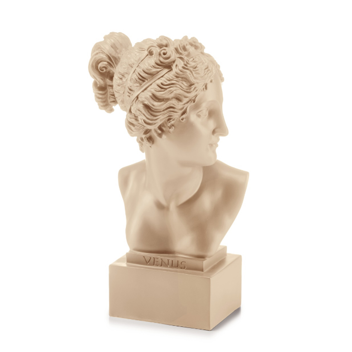 BUSTO 35 5